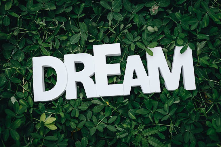 Dream Text on Green Leaves